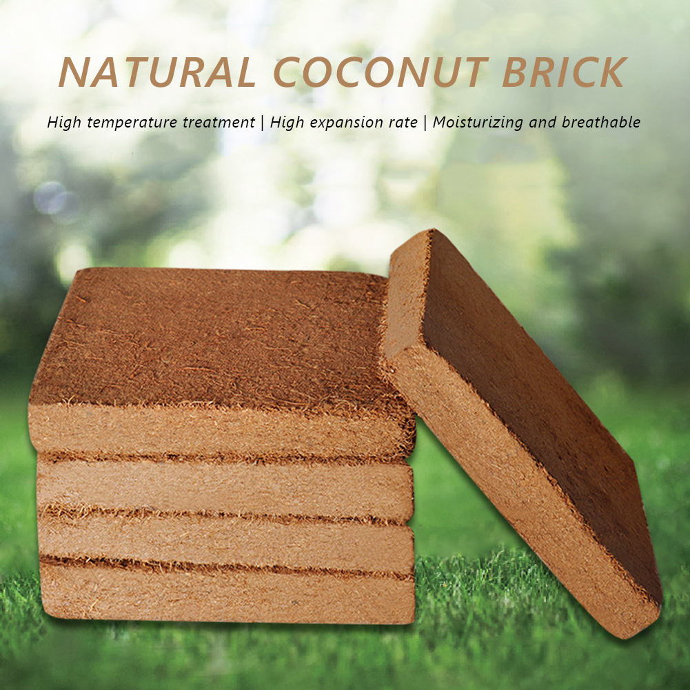 Universal Pflanze Bio-Faser Bl – Coco Coir Block Bewertung und Preis