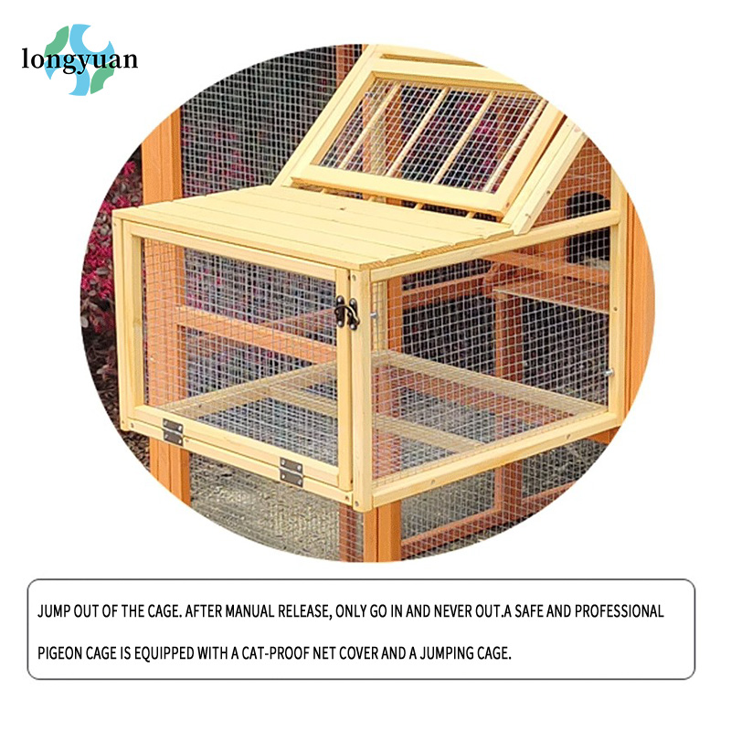 Neues Design, großer, regensic – Urban Farming Urban Gardening Bewertung und Preis